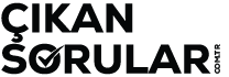 Çıkmış Ehliyet Sınav Soruları